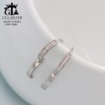 گوشواره نقره میخی میکرو کد 25031 - تصویر 3