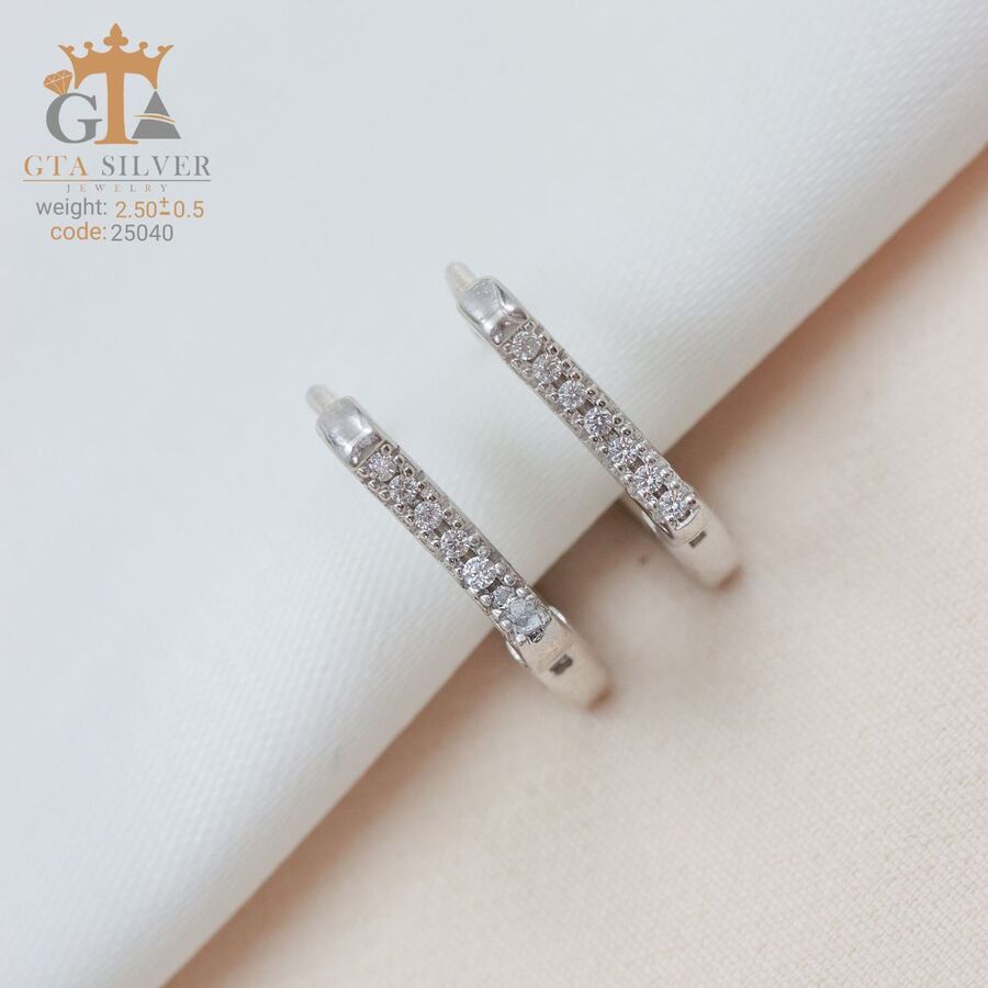 e0aee689-180c-42aa-81c0-1151cc7d9380.jpg گوشواره نقره میخی میکرو کد 25040 - تصویر 1