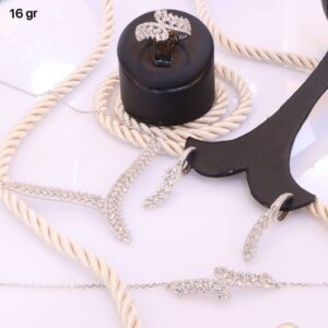 سرویس نقره میکرو زنجیری کد 12006